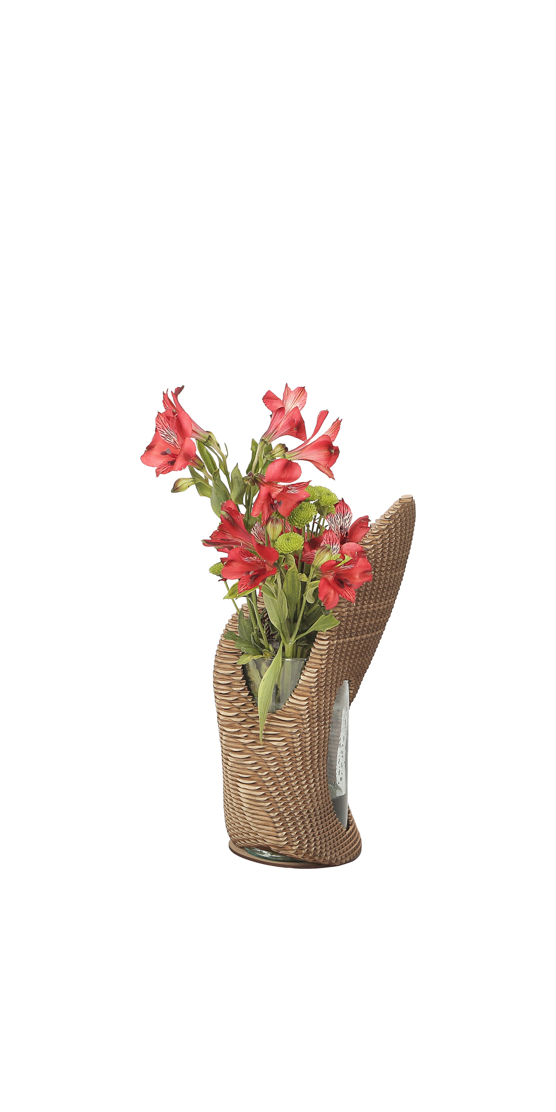 Terariom Cardboard Vase