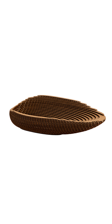 Shell Cardboard Bowl