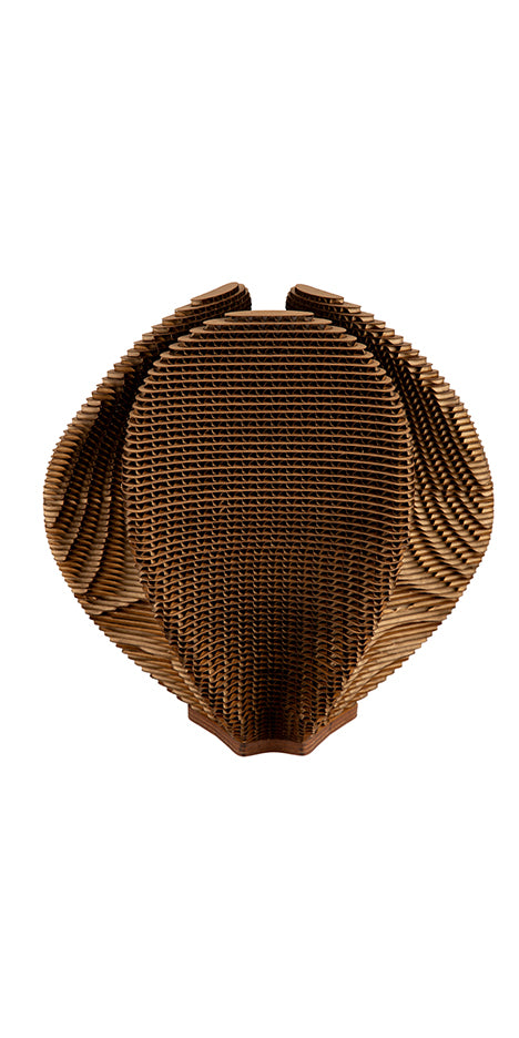 Shabdar Cardboard Light