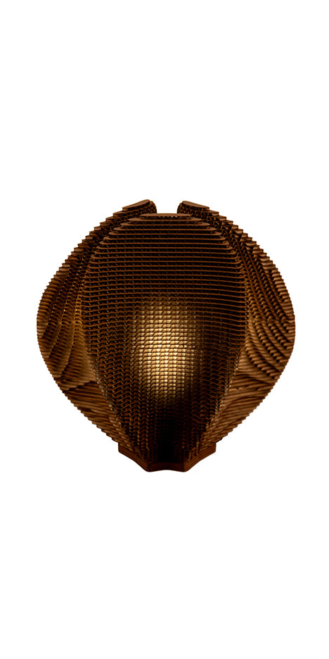 Shabdar Cardboard Light