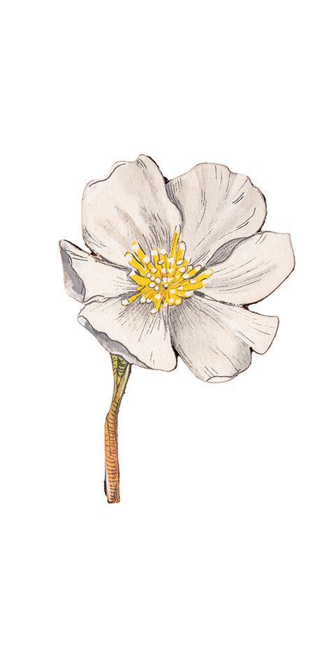 White Blossom Hand-Painted Brooch