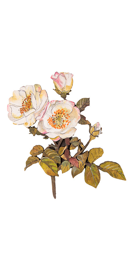 Hand-Painted Rose Branch Brooch
