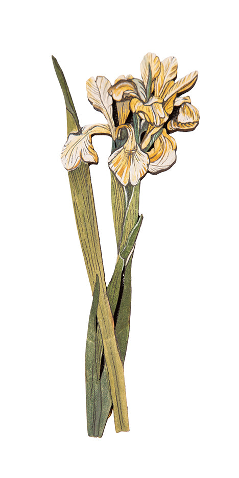 Yellow Iris Hand-Painted Brooch