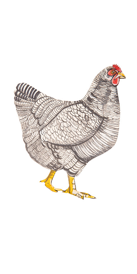 Silver Hen Hand-Painted Brooch